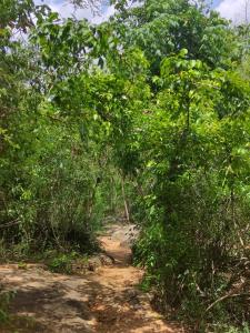 Sigiriya Eco Lodge & Accommodation - Sigiriya CES Field Base