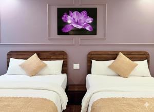 Cat Ba Glow Hotel