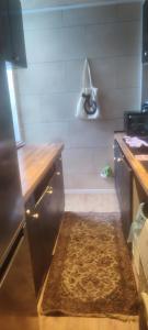 Noordzee Blankenberge