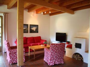 Quaint Mansion near ski bus in Goldegg