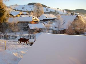 Beautiful apartment in a Black Forest house with conservatory