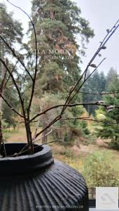 Rila Mountain Design Studio, Borovets, Shiroka poliana 216