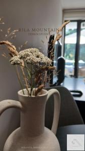 Rila Mountain Design Studio, Borovets, Shiroka poliana 216