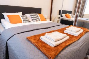 Cozy City Apartment with Private Sauna and Parking