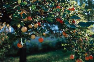 Aurora River View 3-Bedroom Apartment by BookLapland