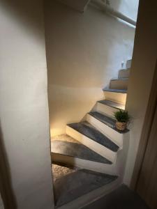 Studio Place Rossetti - Old Nice Center