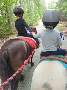 Zagroda Studzienno & Agroturystyka