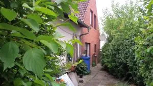 Österdeichstrich - Friedrichsgabekoog