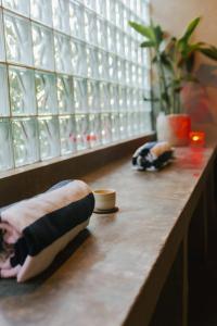 Asgard Resort & MMA Gym