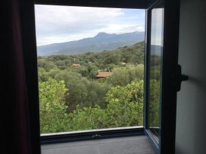 Maisons de vacances Le moulin de Figari : photos des chambres