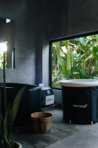 Asgard Resort & MMA Gym