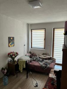 Krzywa 27a apartament