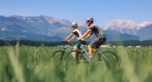 Altitude50 apartment Domžale