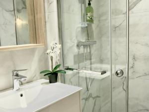 Les Petits Volets Appartements