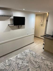 Silver Stuidio ARENA , Stade Groupama , Eurexpo