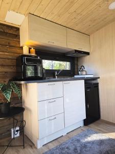 Lapland Landscape XL Cabin with Nature View, Sauna, Fireplace & Kitchen, Sodankylä, Luosto, Fell Village