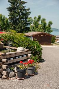 Camping Routes du Monde ATC Veyrier du Lac - Annecy