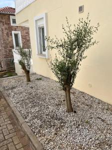 Tepe Resort Villa Resort