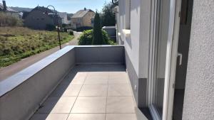 Green escape - Sunset & nature