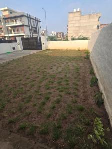 Independent Homestay Near Airport