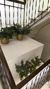 Moöm Apartamentos Turísticos