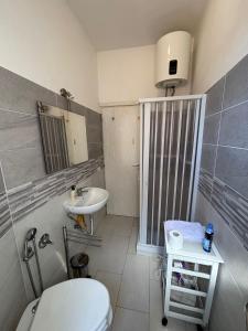 Testaccio Immobiliare