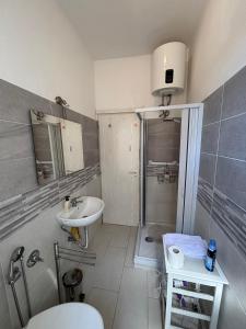 Testaccio Immobiliare