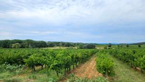 Domaine Roulotte Farigoule