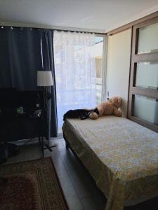 Alojamiento acogedor