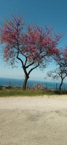 Johns villa Corfu Chrisiida Sea view