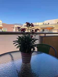 Alcalá Center Tenerife Canarias