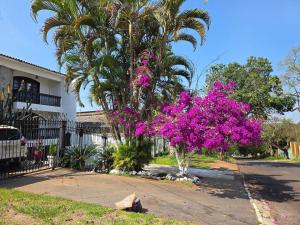 Casa no centro de Foz com churrasqueira e piscina