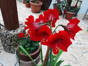 ViLLA MISKOLCTPOLCA,