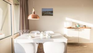 Waddenzicht 71 Ameland - tolle FerienwWohnung mit großer Dachterrasse für bis zu 4 Personen - Haustiere herzlich willkommen, strandnah