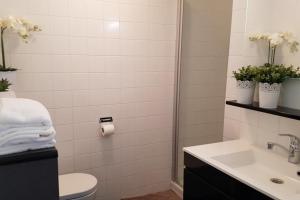 Westwing 79 Ameland für bis zu 6 Personen, nach Westen augerichtet, strandnah, Haustiere herzlich willkommen