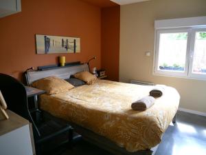 Bubbles and Granules - Single-storey house - Swimming pool