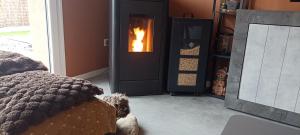 Bubbles and Granules - Single-storey house - Swimming pool