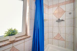 Apartment Placa with Balcony and Sea View