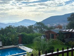 Ochi Houses - Ain drahem