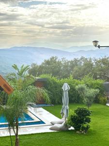 Ochi Houses - Ain drahem