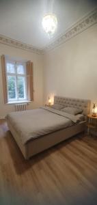 Large, new apartment in the historic centre