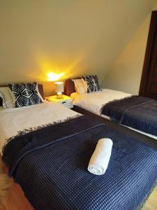 Apartament Górski Krokus