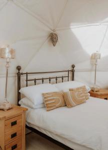 Star Gazing Igloo 1 with cozy log burner