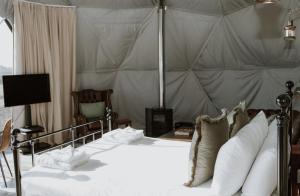 Star Gazing Dome 2 with Log Burner & Optional Hot tub