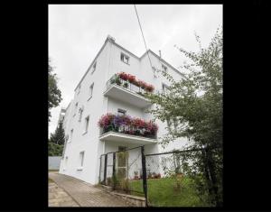 Przytulny pokój z łazienką w centrum Gdyni & Free Parking