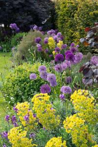 The Old Piggery - tranquil garden guest cottage