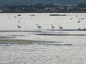 Casa vacanze Ichnos img58