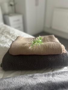 Top Floor Suite - Cedar House