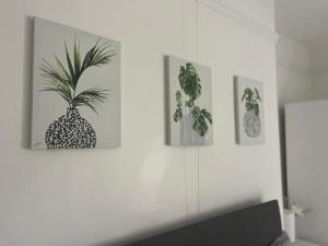 Top Floor Suite - Cedar House