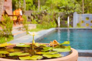 Spacious view house 2BR